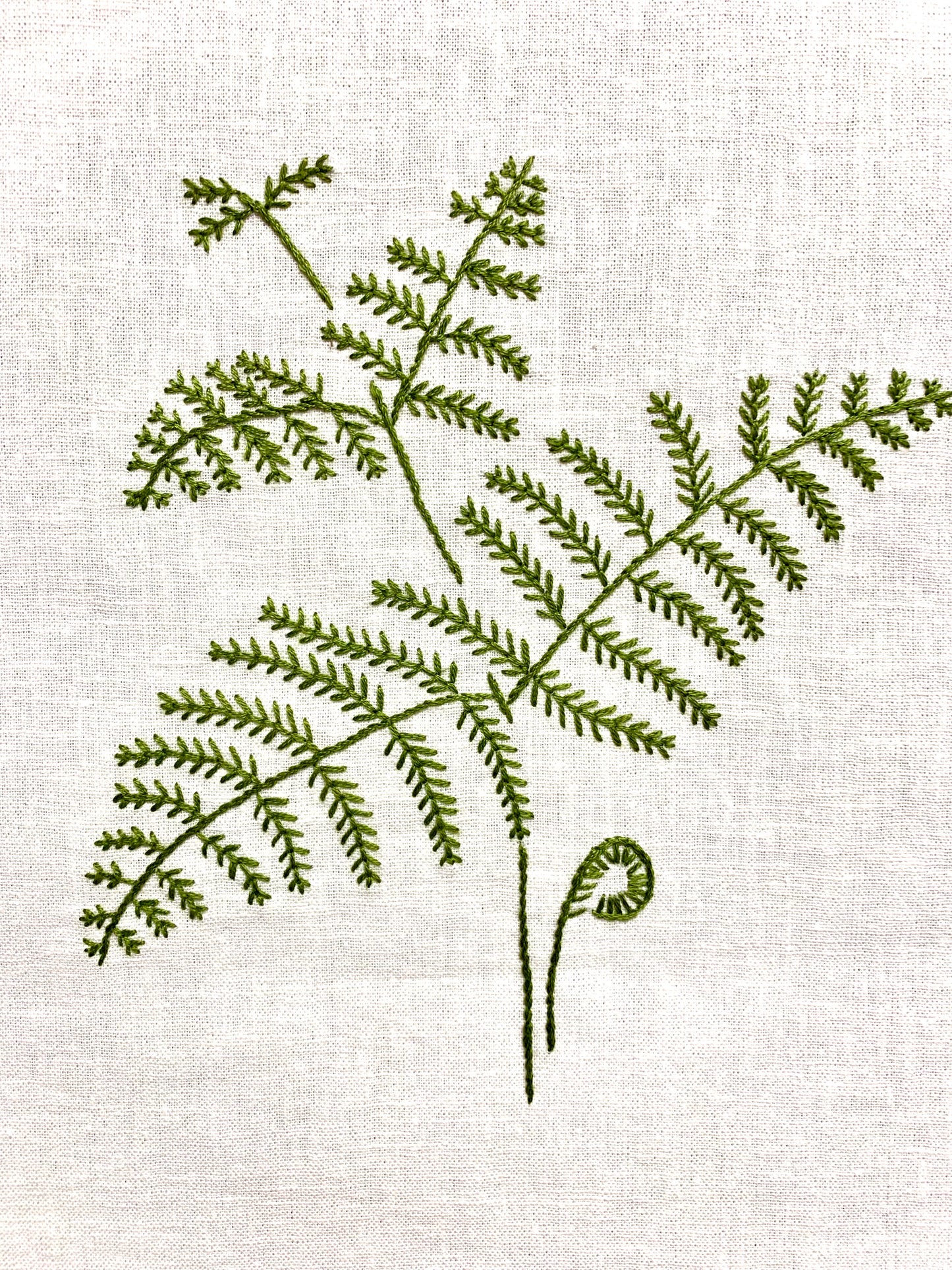 Australian Stitchery - Bracken