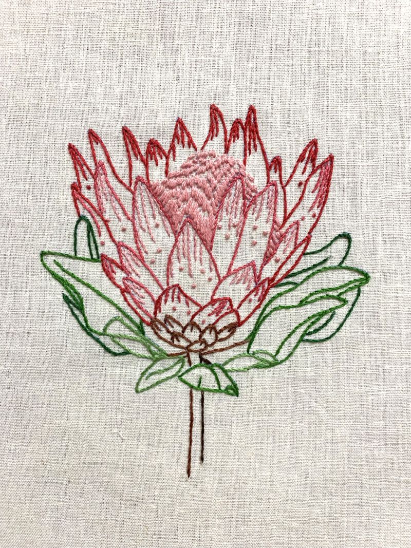 Australian Stitchery - Protea