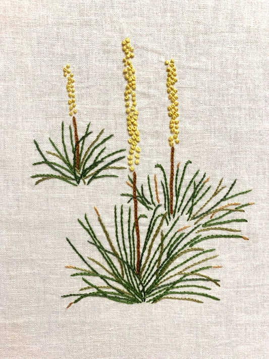 Australian Stitchery - Mono Grass